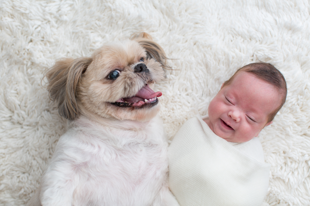 Puppy and newborn laughing