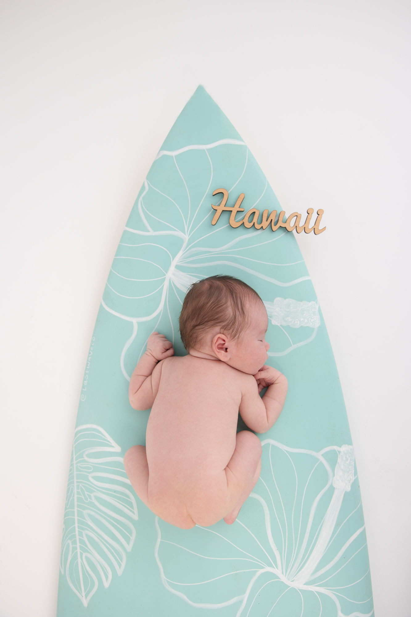 LucieXYZ Photography