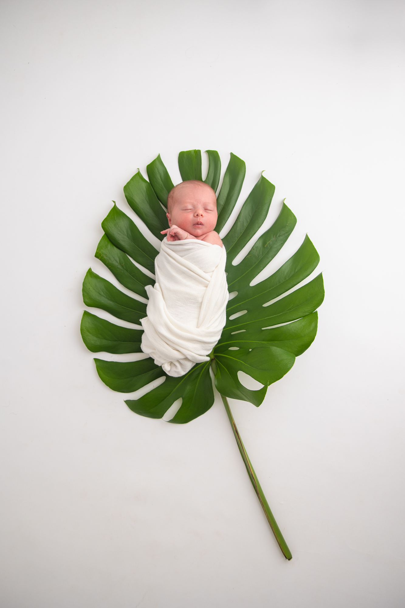 LucieXYZ Photography