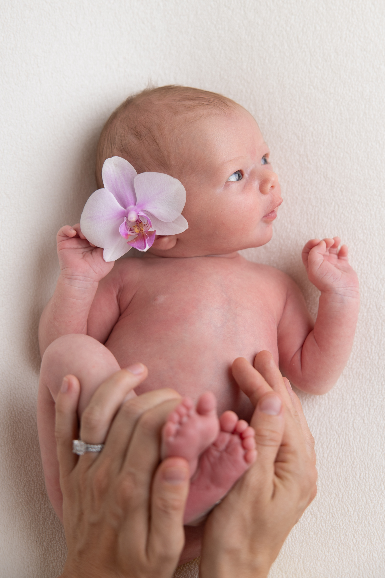 LucieXYZ Photography